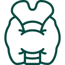 Thyroid Function test in pregrant women