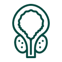Prostate cancer management
