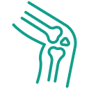 Orthopedics and Traumatology