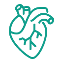 Cardiology