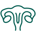 gynecology