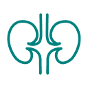 Nephrology